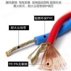 耐高温氟塑料控制电缆 ZR-KVVP 42.5 现货批发 定制 天长