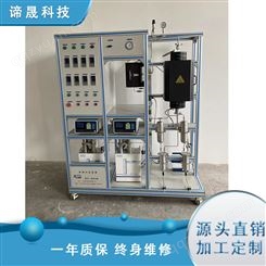 谛晟 DS-PJ-03 高温催化剂评价装置 程序升温 升温速率可调