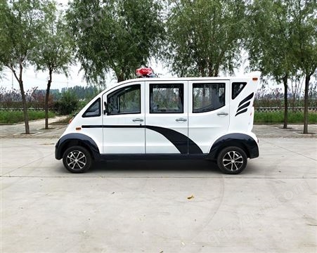 南京 上海 东莞社区电动车 2座电瓶车