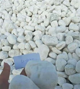 白色小石子 铺路装饰玩耍用鹅卵石盆栽 胶粘石 洗米石