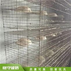 配对饲养鸽笼 加厚加密运输笼 养殖笼具 可定制
