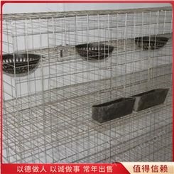 养殖配对鸽子笼 网片铁丝繁殖鸽笼 占地面积小