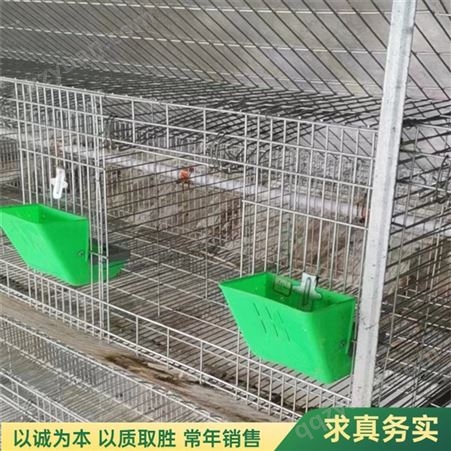 不锈钢双面水冲式兔笼 自动清粪宠物笼 使用寿命长