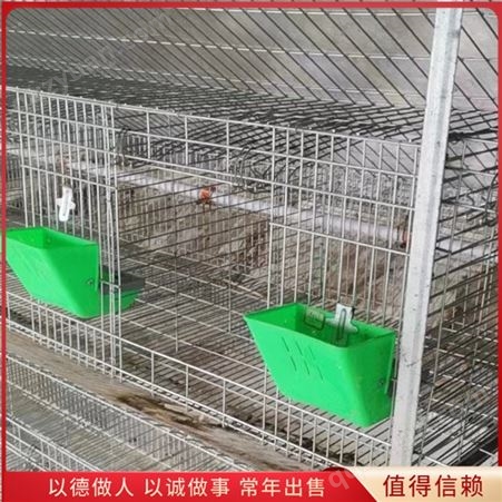 饲养养殖子母兔笼 18位阶梯式免清粪兔舍 用途广泛
