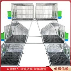 不锈钢双层欧式兔笼 自动化层叠式育雏笼 设计合理