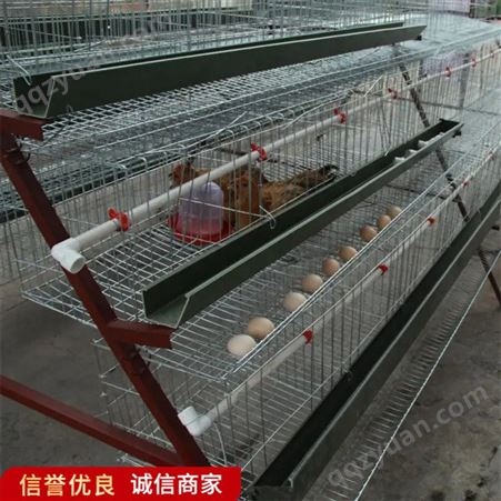 养鸡场阶梯式蛋鸡笼 3层层叠式鸡笼子 工艺优良