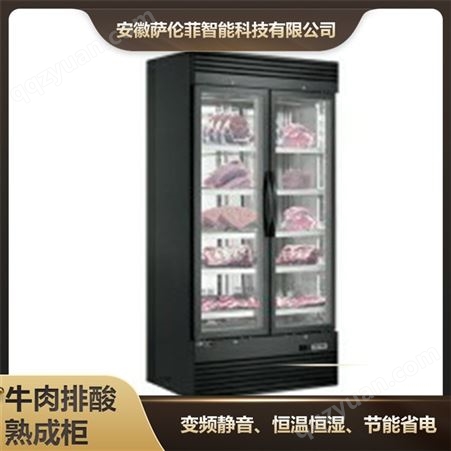 牛肉熟成冷藏柜 商用恒温恒湿排酸冷柜牛排排酸柜定制