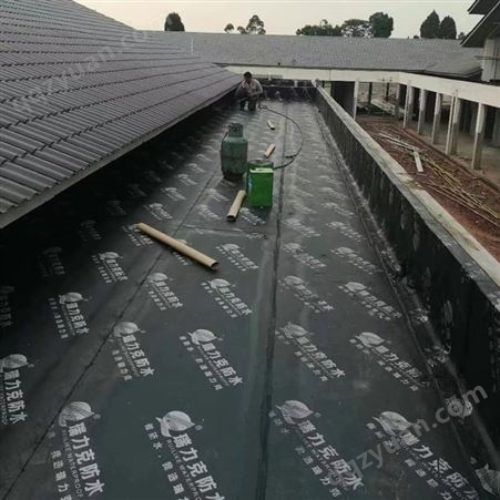 弹性体SBS防水卷材销售 耐老化磨损 延展性强  屋顶防水补漏使用