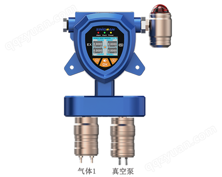 固定一体泵吸式二甲二硫气体检测仪/传感器-深国安
