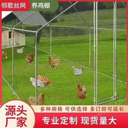 养殖家禽笼子大号鸡舍鸡棚子使用寿命长钢管搭建