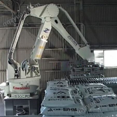 汽车焊接机器人 涂装机械手 稳定性强寿命长 岩回生产