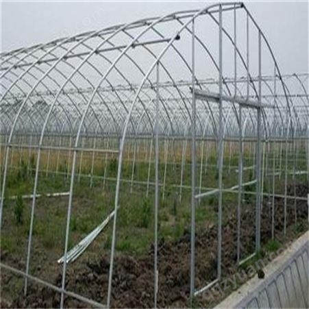 云南蔬菜苗木食用菌温室大棚管生产加工