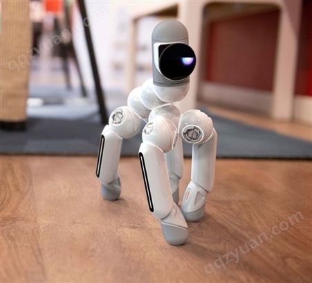 小芯智能机器人 专业出售 智能玩伴机器人 技术*