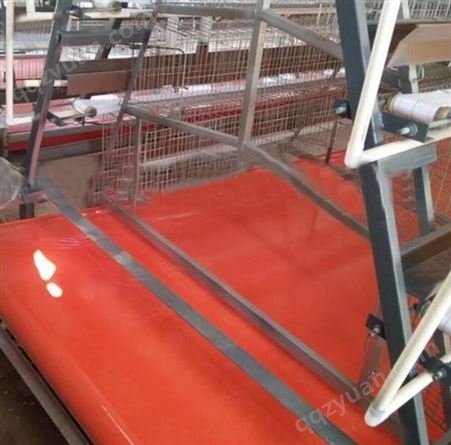 厂家承接定制清粪带养鸡棚pvc/pp清粪传送带 全自动清粪运输带
