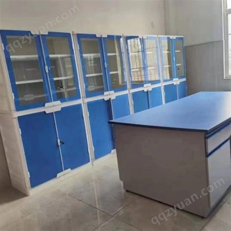 PP仪器柜 仪器室 耐酸碱柜 校园教学配备仪器存储