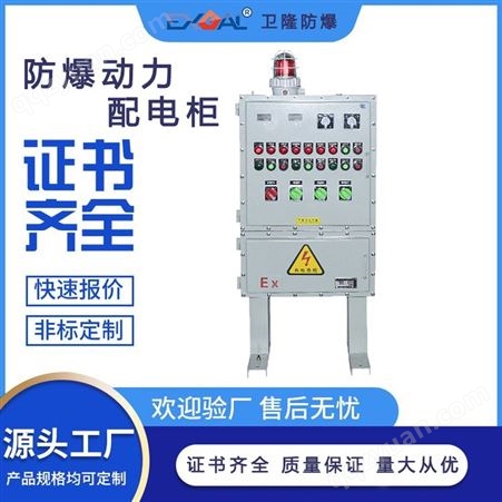 卫隆 防爆动力检修配电箱 电机专用 BXX58 厂家定制