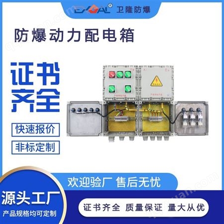 卫隆 电机专用 防爆电磁起动配电箱 非标可定制