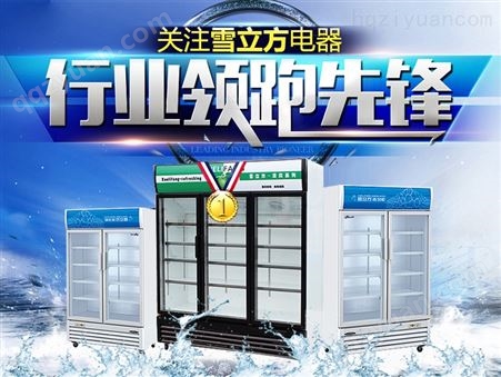 雪立方SD-568E 组合岛柜商用冷柜大容量冷冻食品展示柜玻璃门展示