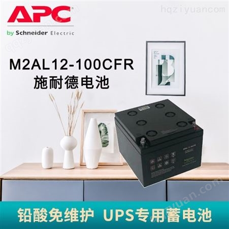 APC施耐德 免维护铅酸蓄电池M2AL12-100CFR 12V100AH